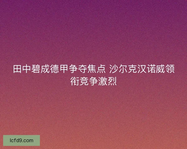 田中碧成德甲争夺焦点 沙尔克汉诺威领衔竞争激烈