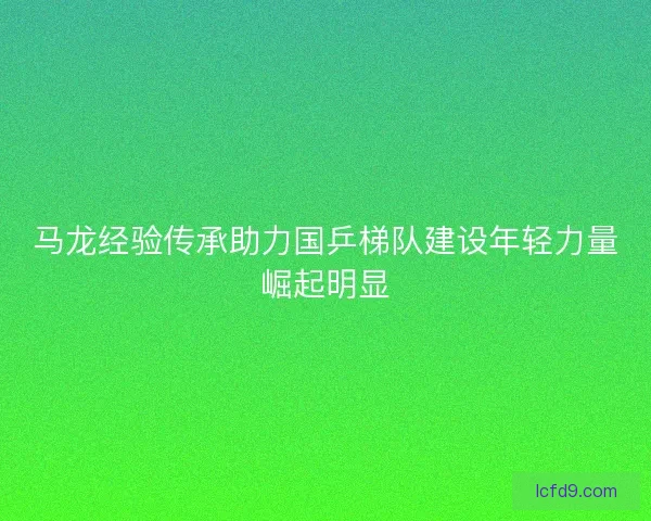 马龙经验传承助力国乒梯队建设年轻力量崛起明显